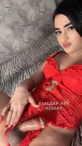 Транс Алматы Транс№425047 Миранда Фотография №3700297